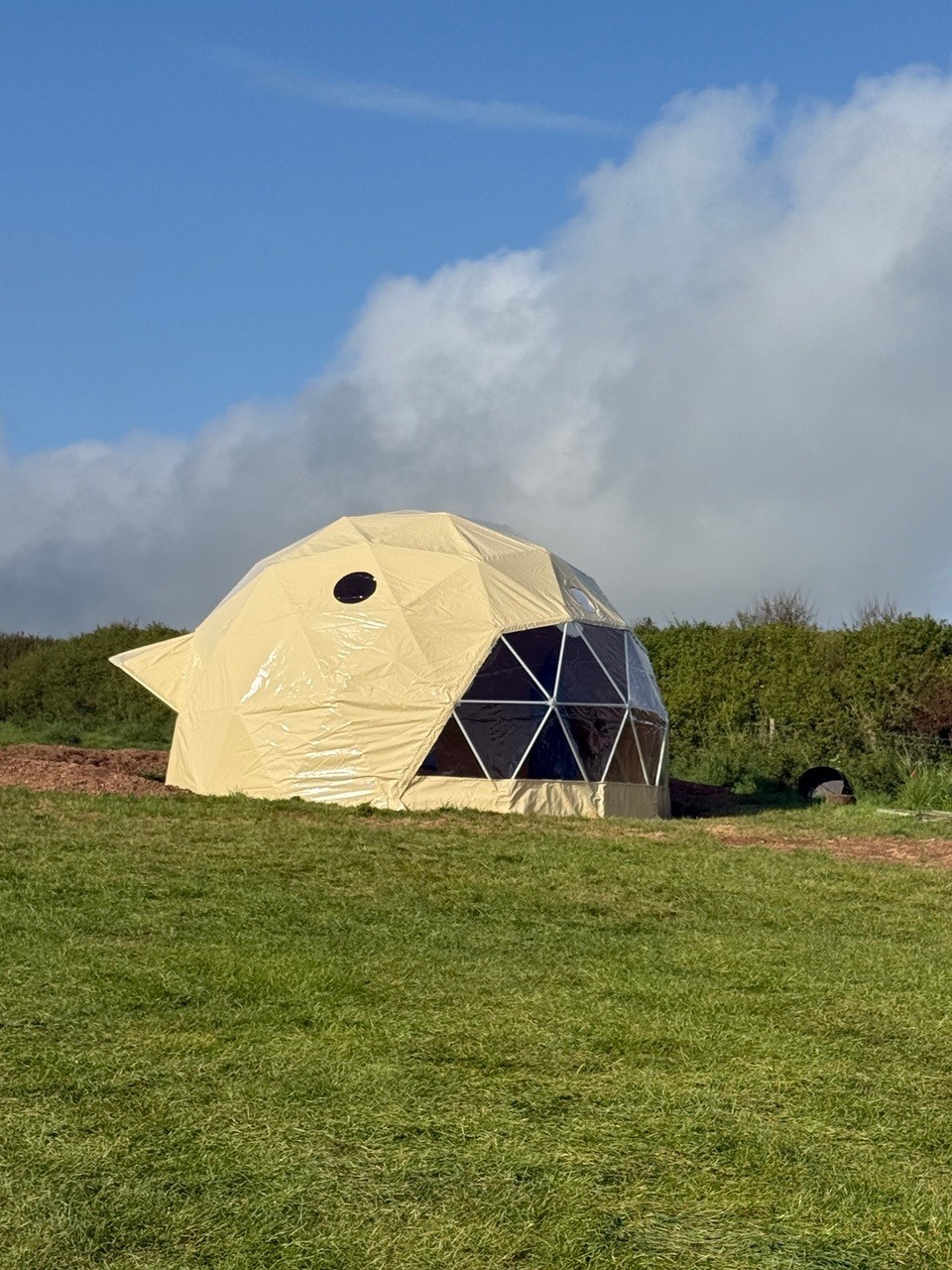 Geo Domes Devon
